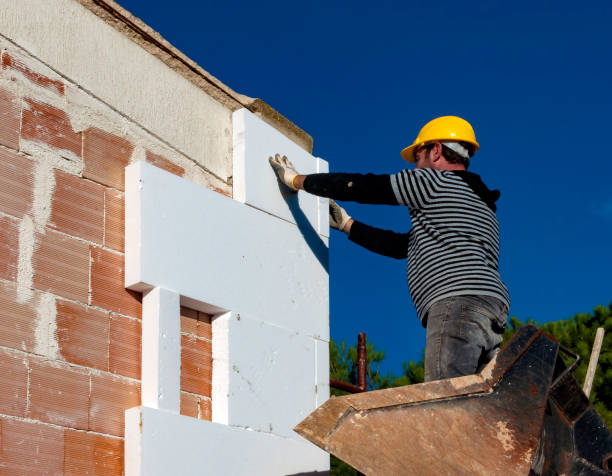 Best Insulation Removal  in Mebane, NC