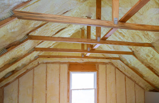 Best Insulation Removal  in Mebane, NC