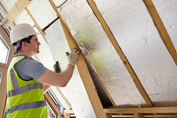 Best Insulation Replacement Services  in Mebane, NC
