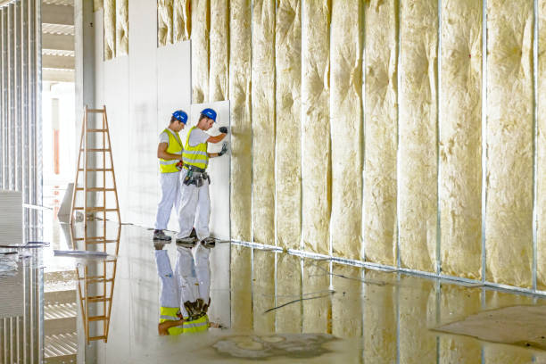 Best Commercial Insulation Contractor  in Mebane, NC